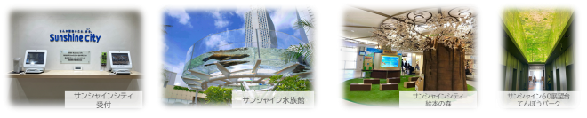 実験フィールドのイメージ