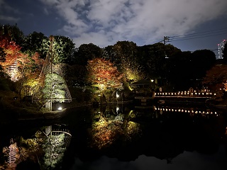 目白庭園昨年のライトアップの様子2