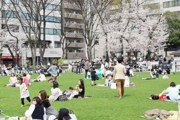 【参考】投稿作品例