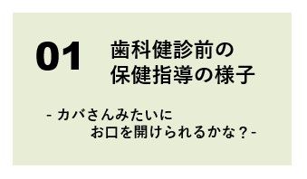 kenshin_comment