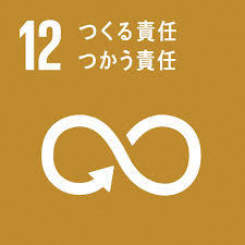 12SDGS