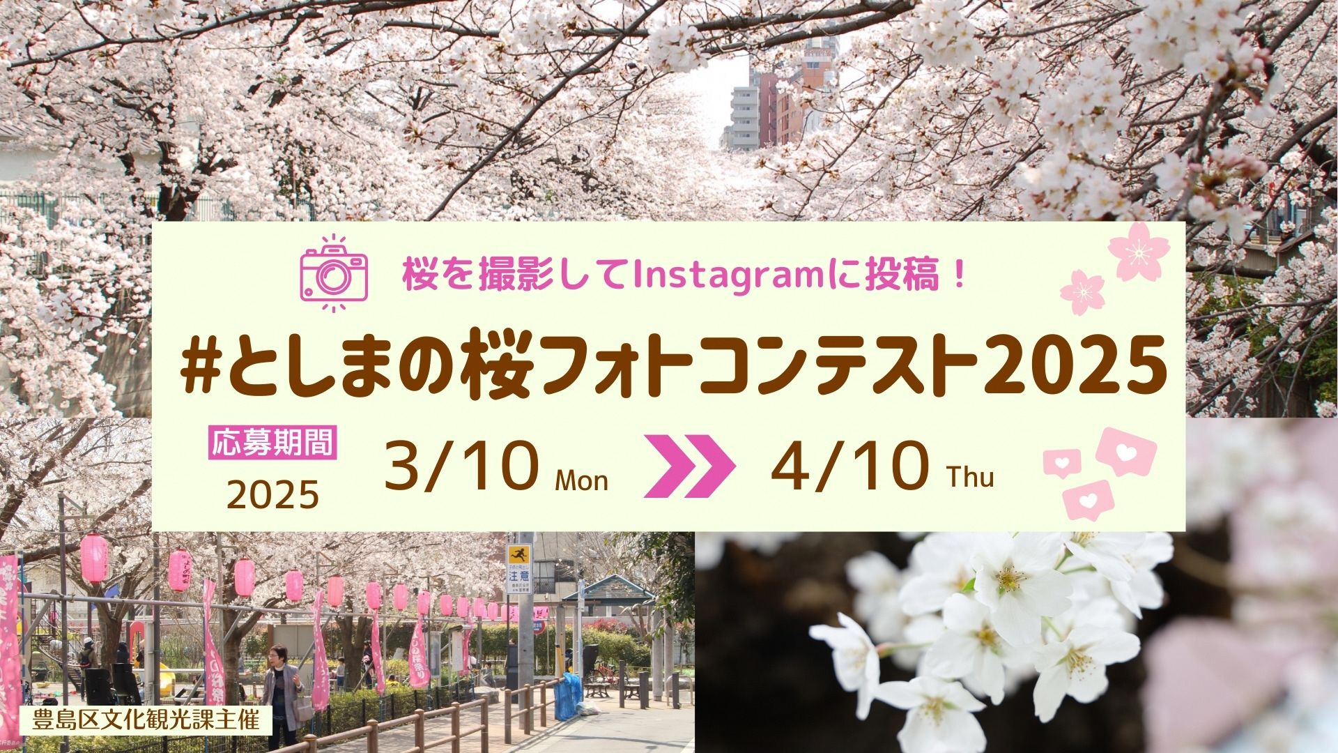 さくらフォトコン