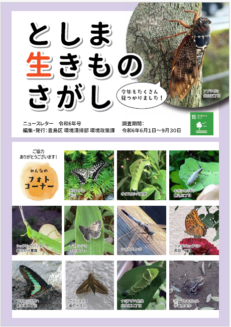 ニュースレター