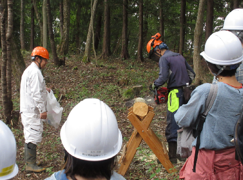 第2回秩父・環境交流ツアー_としまの森3