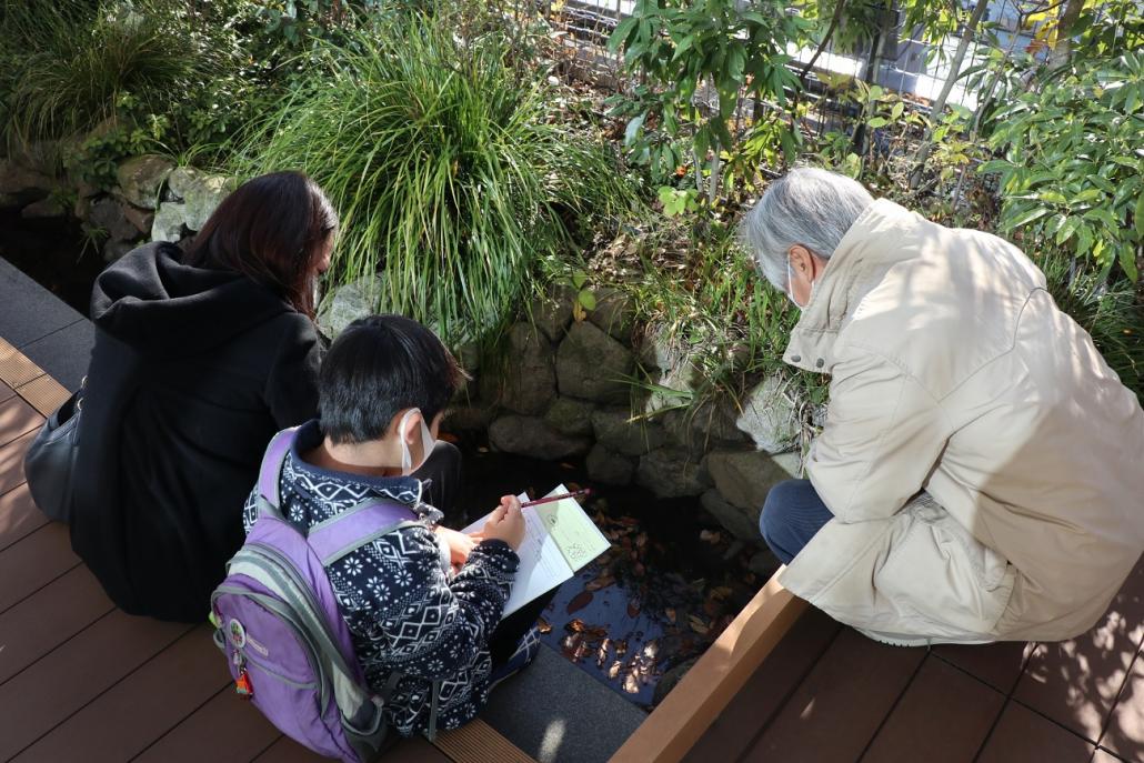 「豊島の森」で観察する参加者の様子