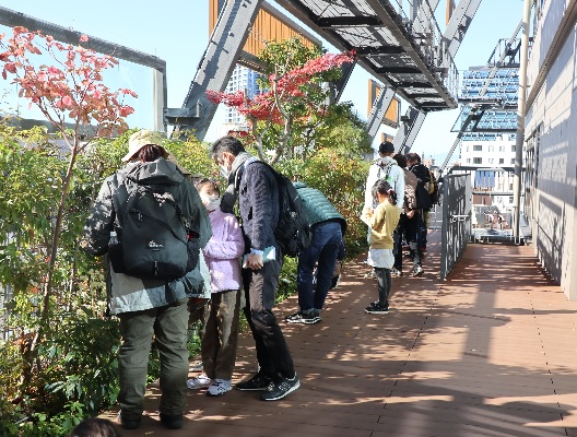 本庁舎8階グリーンテラスでの観察の様子