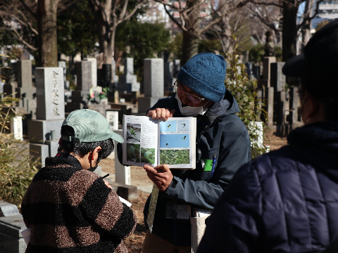 雑司ケ谷霊園で野鳥の説明をする講師の様子