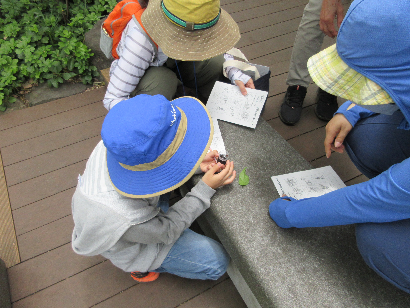 「豊島の森」で観察する参加者の様子