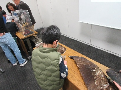 羽の標本を観察する参加者