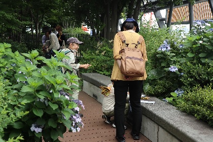 「豊島の森」を観察する参加者