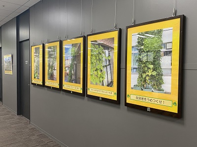 緑のカーテン写真展示風景
