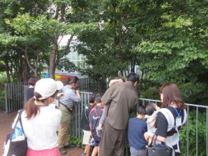 区役所10階屋上庭園「豊島の森」観察ツアーの様子（2024としまエコライフフェア写真）