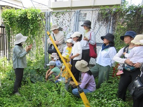 講師から植物について教わっている様子