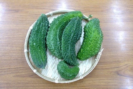 目白第二保育園の緑のカーテン写真