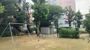 千川上水公園2