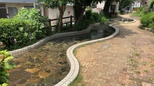 千川親水公園1