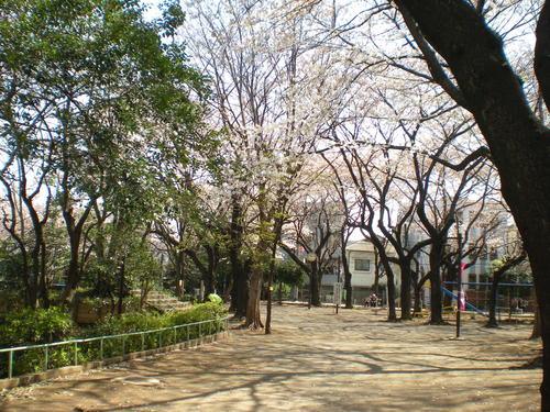 駒込東公園