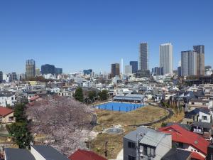 雑司が谷公園