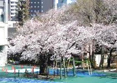 駒込小学校