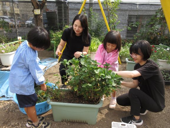 池袋幼稚園取組