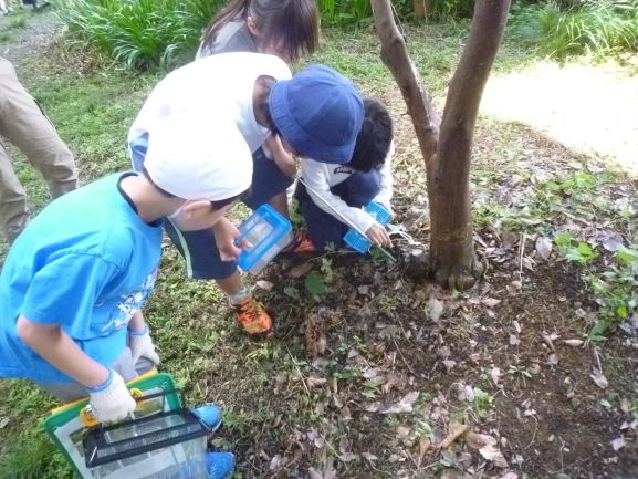 要小学校取組