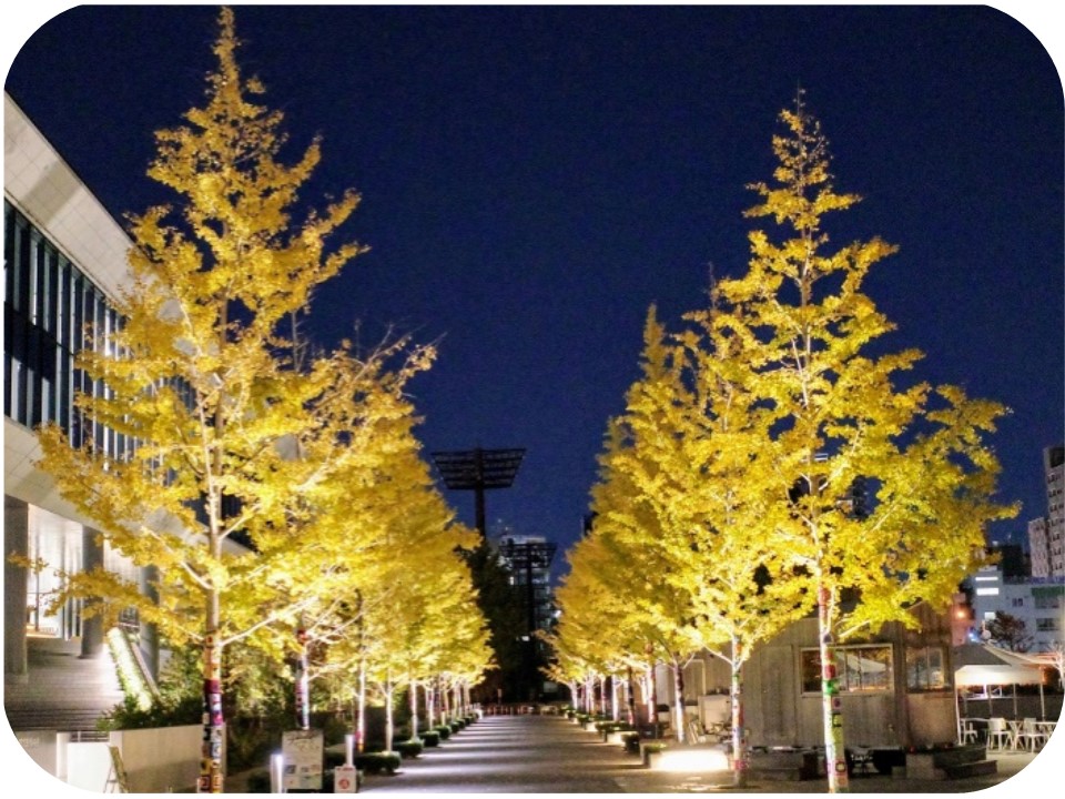 ikesunpark_03.jpg
