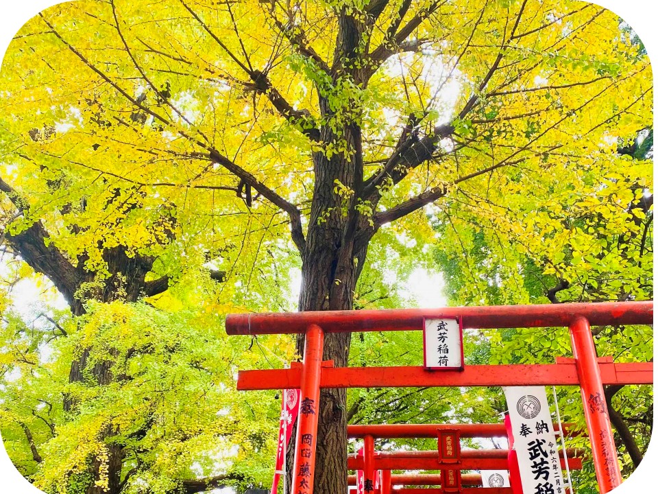 kishimojin_01.jpg