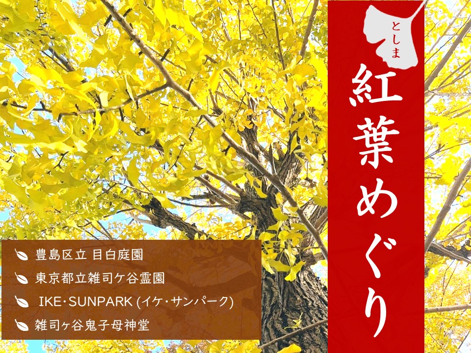 kouyomeguri_thumbnail_1128.jpg