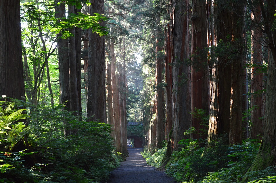 戸隠神社