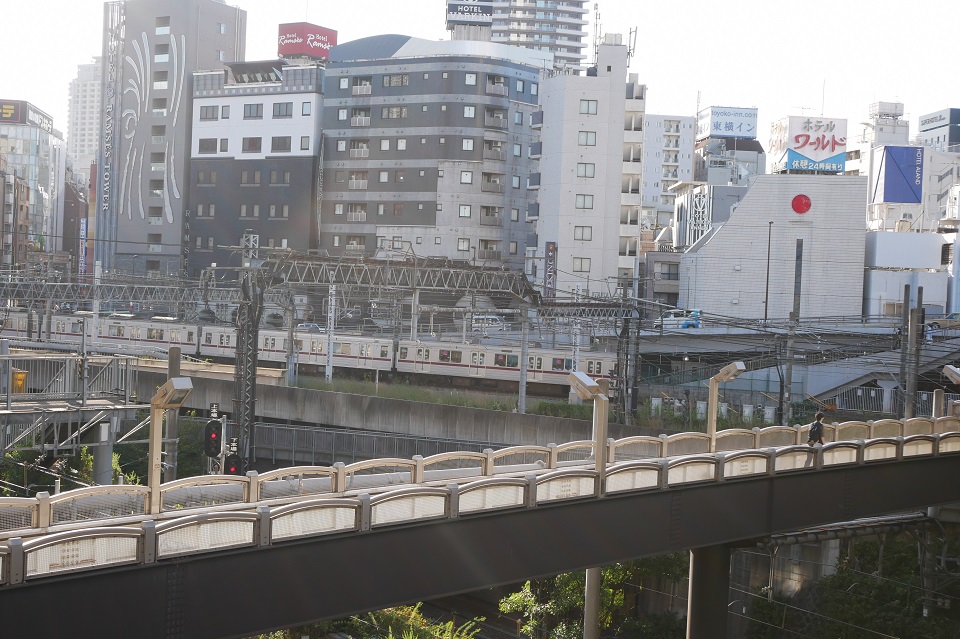 大橋から見る電車