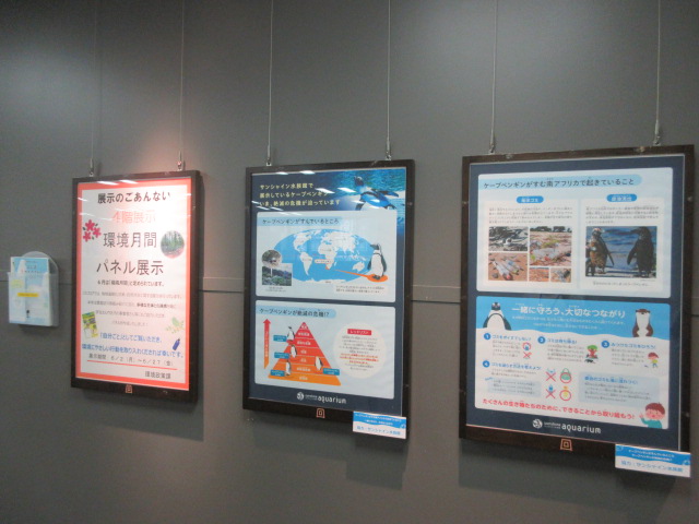 令和７年環境月間パネル展示　東面1