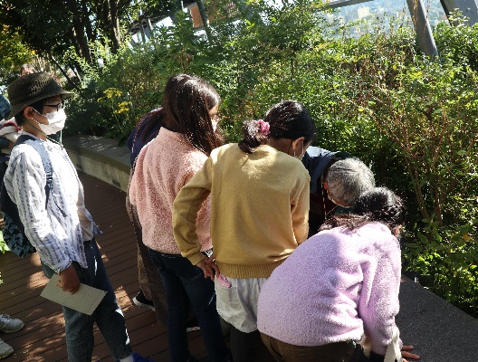 「豊島の森」で観察する参加者たちの様子