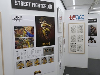展示の様子